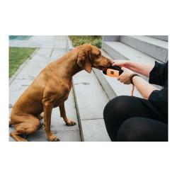 Envase Hunter Dummy Snacks Negro Naranja