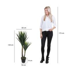 Planta Decorativa Mica Decorations Yucca (120 x 60 cm)