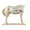 Figura Decorativa DKD Home Decor Caballo Negro Dorado Resina (30 x 11,5 x 26 cm)