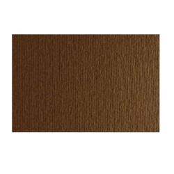 Cartulinas Sadipal LR Marrón 50 x 70 cm (20 Unidades)