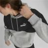 Sudadera con Capucha Hombre Puma Power Colorblock Gris