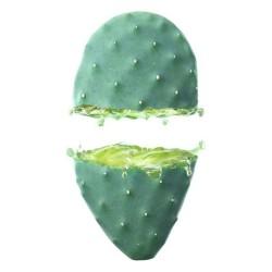 Crema Facial Hidratante Cactus Opuntia 24h Weleda (30 ml)