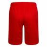 Pantalones Cortos Deportivos para Niños Nike Essentials  Rojo