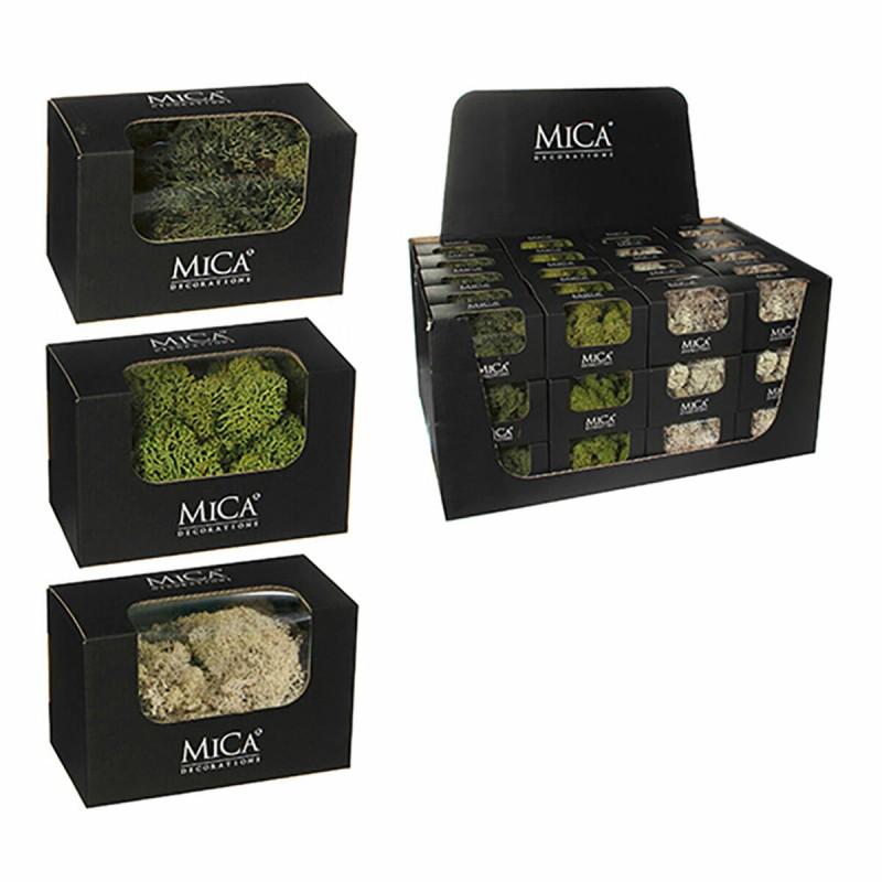 Planta Decorativa Mica Decorations 50 g Musgo