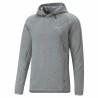 Sudadera con Capucha Hombre Puma Evostripe Gris