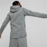 Sudadera con Capucha Hombre Puma Evostripe Gris