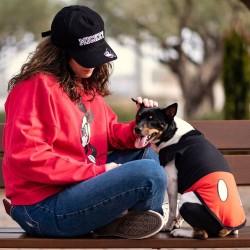 Camiseta para Perro Mickey Mouse