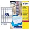 Etiquetas adhesivas Avery Transparente 210 x 297 mm 38,1 x 21,2 mm