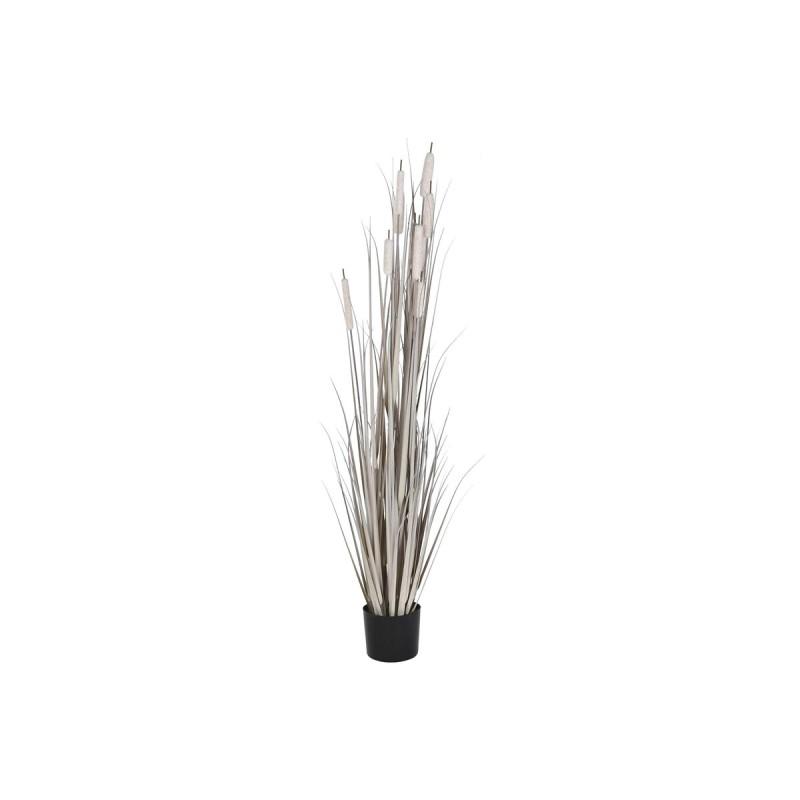 Planta Decorativa DKD Home Decor Juncos (45 x 45 x 150 cm)