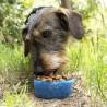 Botella con Depósito de Agua y Comida para Mascotas 2 en 1 Pettap InnovaGoods