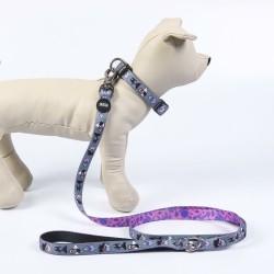 Collar para Perro Disney Gris