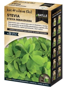 Huerto Kit Cultivo Stevia Rebaudiana