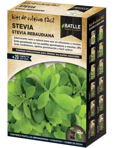 Huerto Kit Cultivo Stevia Rebaudiana