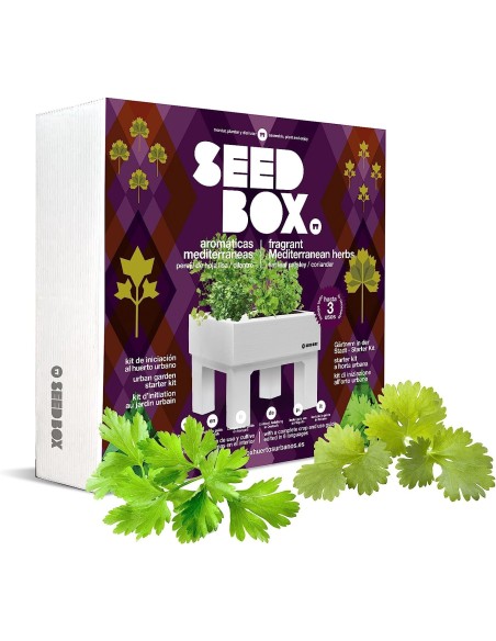 Huerto Urbano Aromaticas Mediterraneas (Perejil y Cilantro)