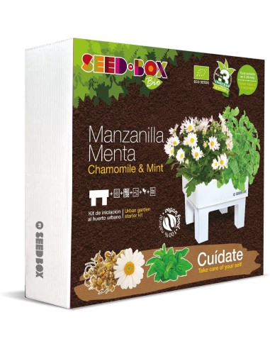 Huerto Urbano Manzanilla y Menta