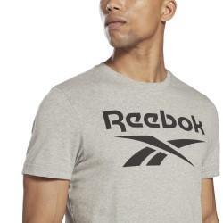 Camiseta de Manga Corta Hombre Reebok BIG LOGO TEE HD4219 Gris