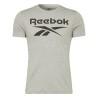 Camiseta de Manga Corta Hombre Reebok BIG LOGO TEE HD4219 Gris