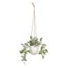 Planta Decorativa 24 x 35 x 25 cm Blanco Verde PVC