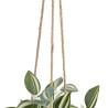 Planta Decorativa 24 x 35 x 25 cm Blanco Verde PVC