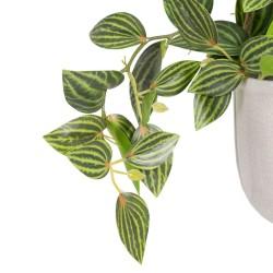 Planta Decorativa 33 x 33 x 24 cm Blanco Verde PVC