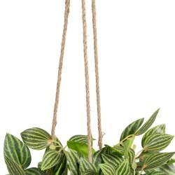 Planta Decorativa 33 x 33 x 24 cm Blanco Verde PVC