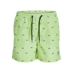 Bañador Hombre PSTFIJI JJSWIM MINI STRIPE LY  Jack & Jones 12227350 Verde