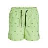 Bañador Hombre PSTFIJI JJSWIM MINI STRIPE LY  Jack & Jones 12227350 Verde