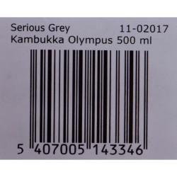 Termo Kambukka Olympus Acero Inoxidable 500 ml