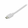 Adaptador USB C a DisplayPort Startech CDP2DPMM6W 1,8 m Blanco