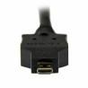 Cable HDMI a DVI Startech HDDDVIMM2M 2 m Negro