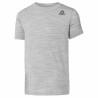 Camiseta de Manga Corta Infantil Reebok Essentials Marble Melange Gris claro