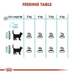 Comida para gato Royal Canin Urinary Care Adulto Pollo Aves 2 Kg