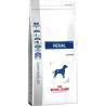 Pienso Royal Canin Renal Adulto 2 Kg