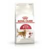 Comida para gato Royal Canin Feline Fit Adulto Arroz 2 Kg