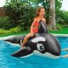 Figura Hinchable para Piscina Intex Ballena 193 x 76 x 119 cm (6 Unidades)