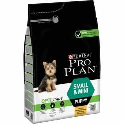 Pienso Purina Pro Plan Healthy Start Small & Mini Puppy + 1 Año Cachorro/Junior Pollo 3 Kg