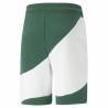 Pantalones Cortos Deportivos para Hombre Puma Power Cat Verde