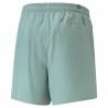 Pantalones Cortos Deportivos para Hombre Puma Ess+ Logo Power Cat For All Time Aguamarina Azul Verde