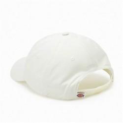 Gorra Deportiva Dickies Hardwick Cloud (Talla única)