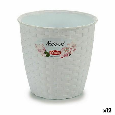 Macetero Stefanplast Blanco Plástico 14 x 13 x 14 cm (12 Unidades)