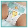 Pañales Desechables Pampers                                 5 (150 Unidades)