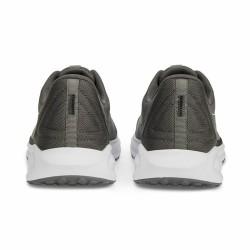 Zapatillas de Running para Adultos Puma Twitch Runner Fresh Cool Dark Gris oscuro Gris Unisex