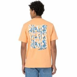 Camiseta de Manga Corta Dickies Creswell Naranja Hombre