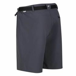 Pantalón Corto Deportivo Regatta Xert StrShort III Gris Montaña