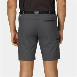 Pantalón Corto Deportivo Regatta Xert StrShort III Gris Montaña