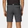 Pantalón Corto Deportivo Regatta Xert StrShort III Gris Montaña