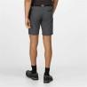 Pantalón Corto Deportivo Regatta Xert StrShort III Gris Montaña