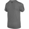 Camiseta de Manga Corta Niño 4F JTSMF001  Gris