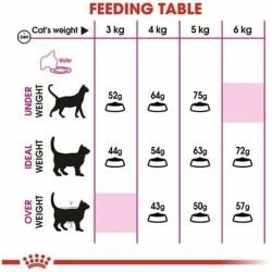 Comida para gato Royal Canin Aroma Exigent Adulto Pescado Aves 400 g