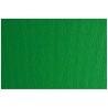 Cartulina Sadipal LR 200 Verde oscuro Texturizada 50 x 70 cm (20 Unidades)